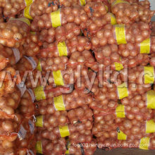 Good Quality PE Packing Bags for Onion